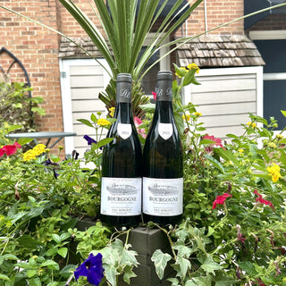 Charlotte, NC | 2-Pack: 2023 Domaine Borgeot Bourgogne Blanc "Clos de la Carbonade"