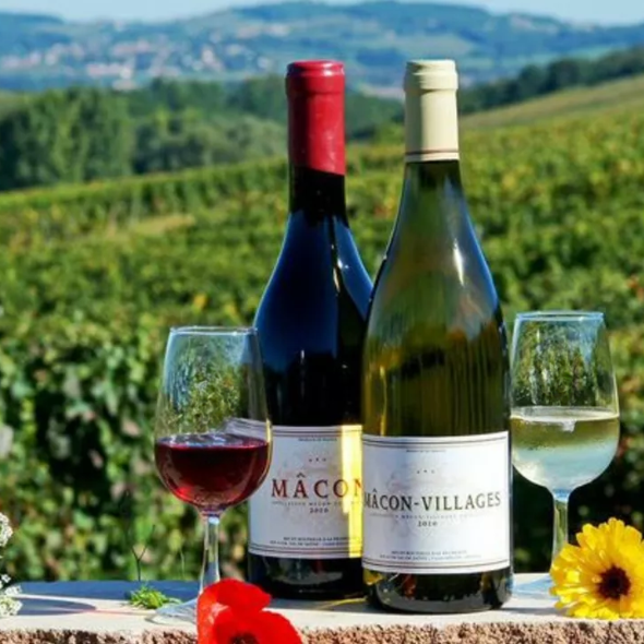 NC- 10-1-25 | The Route Ahead: Burgundy in the 21st Century Masterclass
