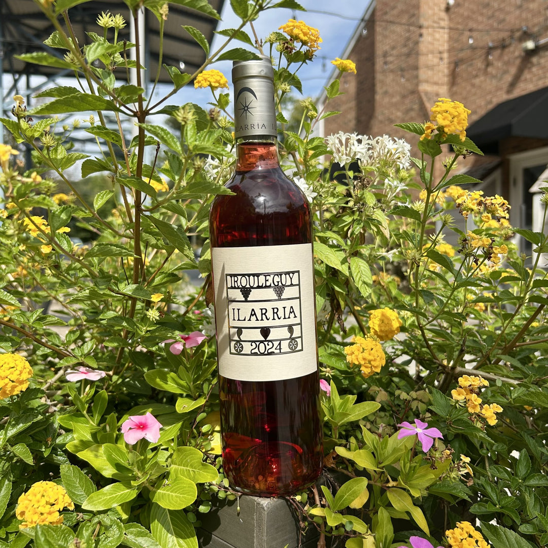 Charlotte | 2024 Domaine Ilarria Irouléguy Rosé