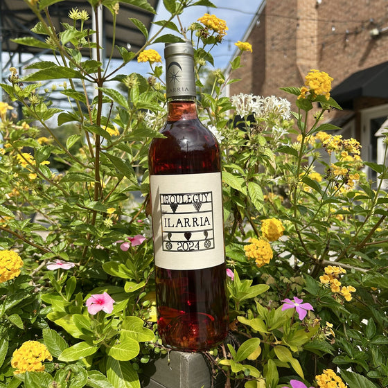 Charlotte | 2024 Domaine Ilarria Irouléguy Rosé