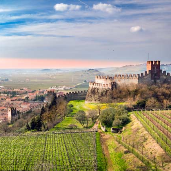 NC- 10-15-25 SouthPark | Veneto Italian Wine Dinner