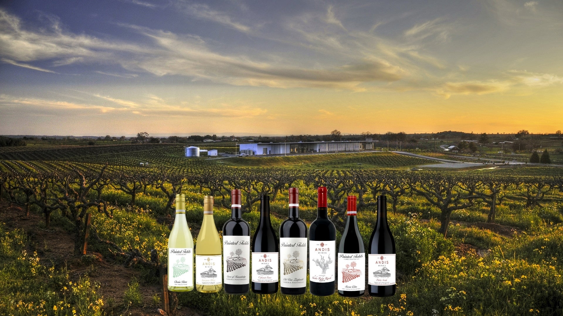 Wine bottles displayed in front of  Andis Wines vineyard at sunset.