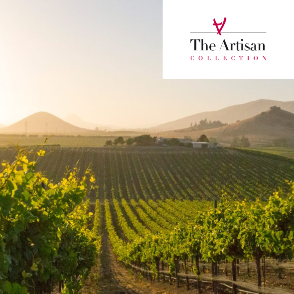 NC Birkdale 923 The Artisan Collection Masterclass Foxcroft Wine Co.