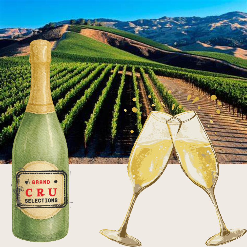 8-12-26 Dilworth | Grower Champagne Masterclass