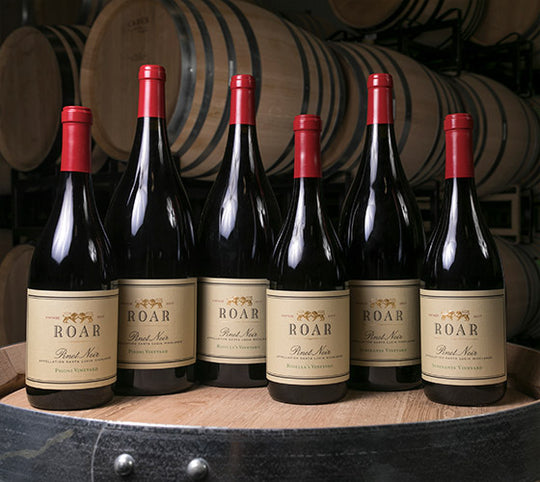 NC- SouthPark 2-25 | Roar Wines Wine Dinner